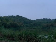 -塘沽森林公园