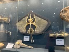 -大连自然博物馆·地球展厅