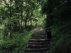 -少华山国家森林公园
