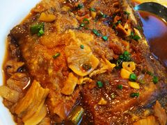 -深圳湾木棉花酒店