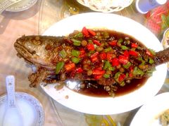 蓬莱春-蓬莱春(芝罘店)