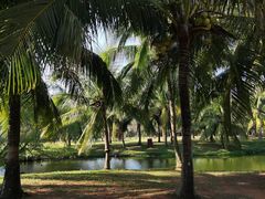 -白沙门生态公园