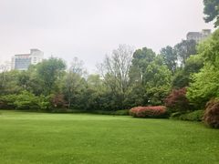 -上海瑞金洲际酒店