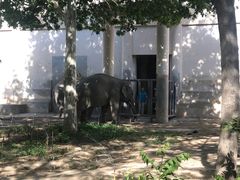 -太原动物园