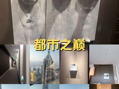 -上海柏悦酒店