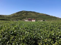 -嵛山岛