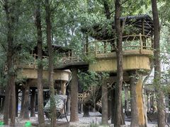 -林栖谷森林康养度假区