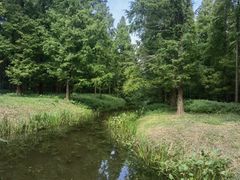 -黄海国家森林公园