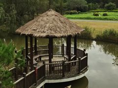 -东平国家森林公园