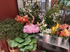 -二酉书店TOYOU BOOKS