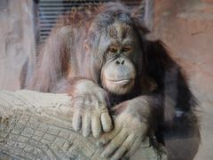 -杭州野生动物世界