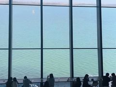 -抱抱地球咖啡馆(国家海洋博物馆店)