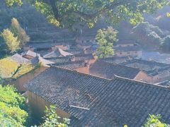 -杨家堂村