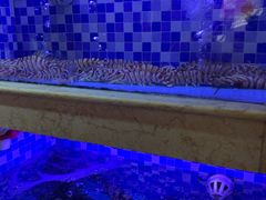 -老蒲鲜(涵江店)