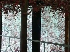 -香港科学馆
