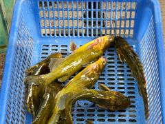 -大鹅岛灶台鱼·铁锅炖(水库路店)