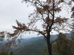 -广州市石门国家森林公园