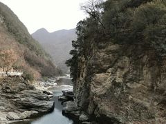-黑河国家森林公园