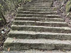 -清溪森林公园