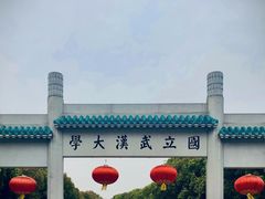 -武汉大学-樱园