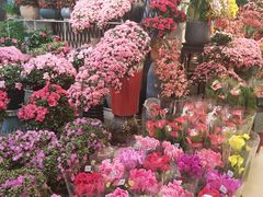 -双季花艺园艺市场(浦东店)