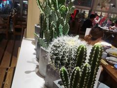 仙人掌-蜜桃餐厅·伴山(湖滨商业街店)