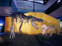 -湖南省地质博物馆