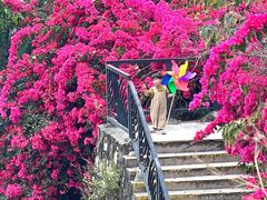 -小南山公园