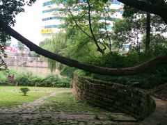 -成都市活水公园