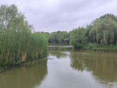 -梁鸿国家湿地公园