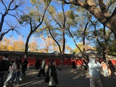 -北京国子监胡同