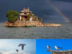 -大理洱海