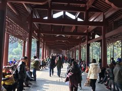 -重庆彩云湖湿地公园
