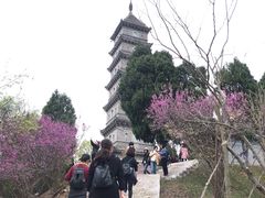 -天台山赤城山景区
