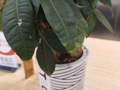 -CoCo都可(卓展店)