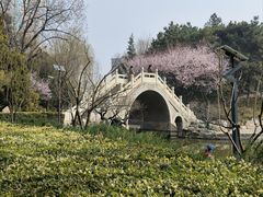 -团结湖公园