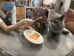 -袖虎·猫馆(体育西路店)