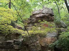 -宝岩生态观光园