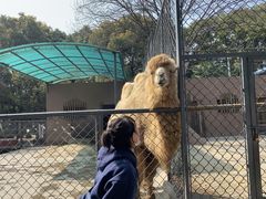 -荆州中山公园动物园