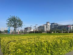 -泉城广场