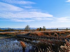 -野鸭湖国家湿地公园