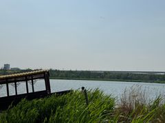 -绿堤公园
