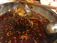 -味之绝热血美蛙鱼火锅(中坝店)