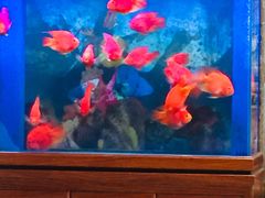 -新碧水留香新桑拿