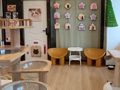 -有喵·猫咖·狗咖·40+猫狗有小奶狗(岗厦店)