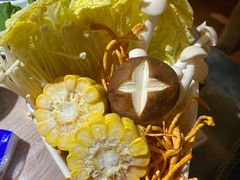 -探窝·竹笙椰子鸡(杨箕店)