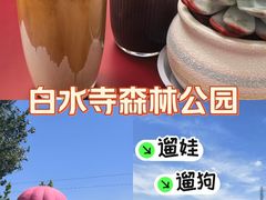 -白水寺森林公园