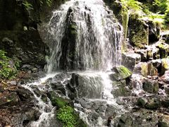 -本溪汤沟绿石谷森林公园