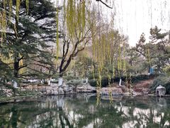 -趵突泉景区