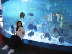 -烟台海昌鲸鲨海洋公园